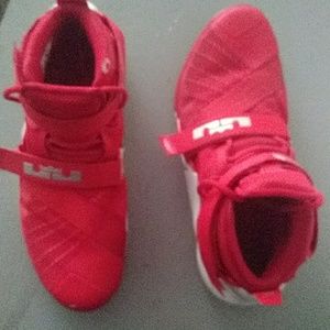 Nike Zoom Lebron James gym shoes